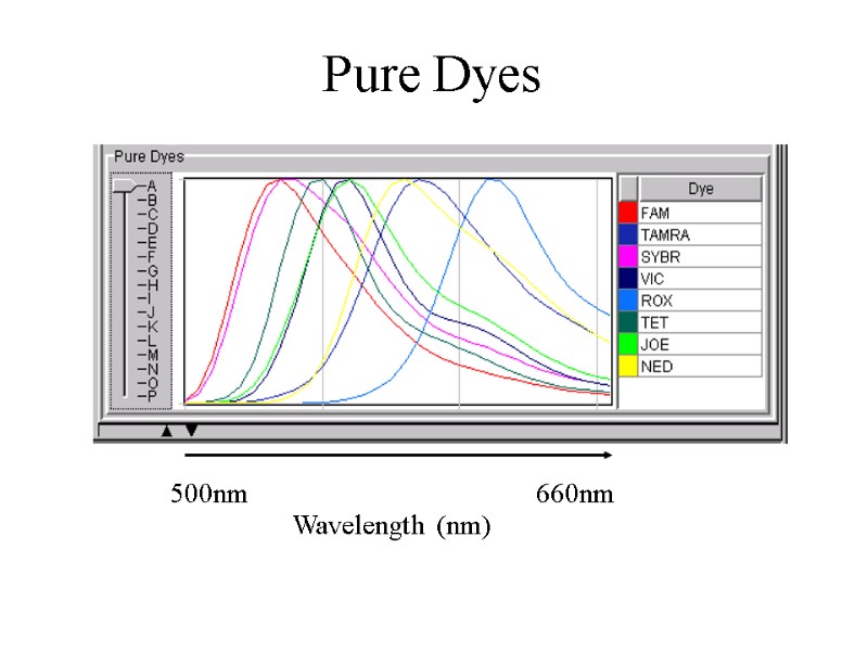 Pure Dyes